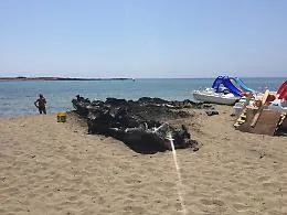 Attentato incendiario a Capo Passero: in fiamme lettini e pedal&ograve;