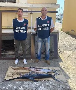 Catania, sequestrati alla Pescheria 250 chili di pesce