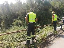 Il piccolo Gioele sembra sparito nel nulla
In campo anche i "cacciatori" di latitanti