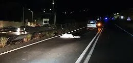 Siculiana, migrante in fuga muore investito 
tre poliziotti feriti, arrestato automobilista