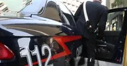 Palermo, droga, armi e due serpenti in casa: 46enne arrestato