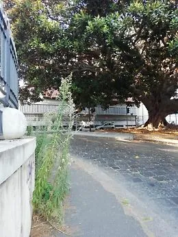 Catania, erbacce crescono indisturbate sul marciapiede in via A. Longo