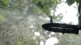 Progetto A.C.Q.U.A.: ecco come si usa l'acqua nella filiera agrumicola siciliana