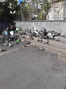 Catania: situazione igienico sanitaria precaria davanti la Chiesa di Cristo Re