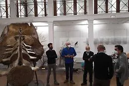 Catania: prende corpo il nuovo museo di Zoologia, la galleria scientifica pi&ugrave; antica della Sicilia