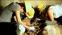Quando l'archeologia svela la vera storia di un'epidemia