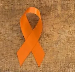La Giornata contro la violenza sulle donne: in Italia un femminicidio ogni tre giorni