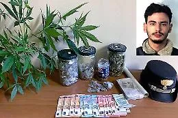 Catania, spacciava a Picanello: in casa aveva 250 grammi di marijuana