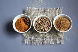 Lab EIT Food , al Challenge premiati "Ittinsect" e &ldquo;Dissemina&rdquo;