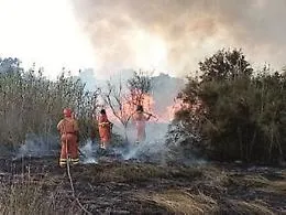 Incendio doloso nell'Oasi del Simeto: fiamme domate dopo 4 ore