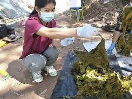 In Thailandia bando a sacchetti plastica