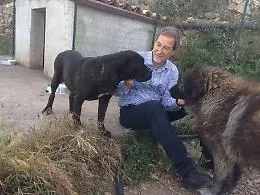 Musumeci: &laquo;Io sono un animalista, con mia sorella accudiamo 50 randagi&raquo;