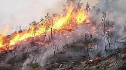 Trombe d'aria e fulmini al Centro-sud
ed in Sicilia il&nbsp;vento alimenta incendi&nbsp;