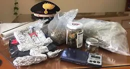 Marijuana, tra Catania e Pedara
i carabinieri ne sequestrano 3,5 kg