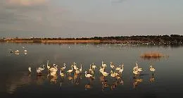 Italia quarta in Eurpa per numero di aree naturali umide