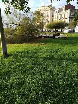 Catania, Piazza Martiri della Libert&agrave;: "Salvate quell'albero"