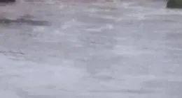&laquo;Ho aperto la porta e l'acqua ci ha invaso la casa&raquo;, il racconto dei vicini dei 9 morti a Casteldaccia
