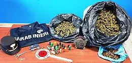 Gravina, in 2 fratelli pure di spaccio in un garage tenevano 6 kg di droga