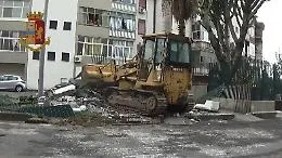 Canile abusivo abbattuto a S.G. Galermo: salvati 11 cani