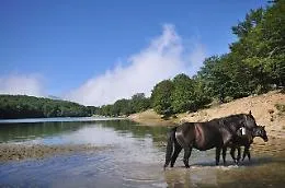 I Nebrodi e la proposta di un Geo-resort nella pi&ugrave; grande area protetta della Sicilia