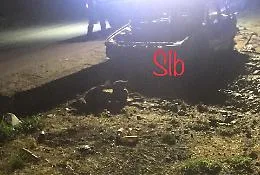 Orrore a Trabia: cane legato all'auto 
in fiamme muore bruciato vivo