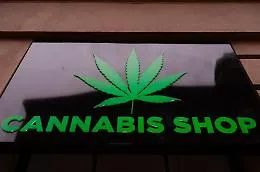 Marijuana, per la Cassazione &egrave; reato vendere prodotti derivati: a rischio i negozi di cannabis light