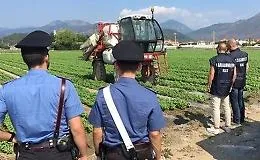 Lavoratori in nero in tanti settori nel Messinese: 25 quelli scoperti