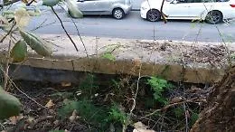 Catania: il muro del giardino Bellini &egrave; senza protezione