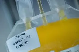Lotta al Covid, "Donate plasma iperimmune se siete vaccinati"