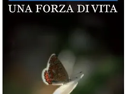 Il mondo di Laura e il coraggio di vivere