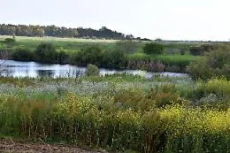"Nuova Oasi" per rilanciare la riserva naturale Oasi del Simeto