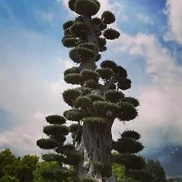 Giardini e design anche per i bambini