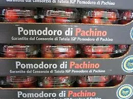 Il Canada torna a dare il via libera al pomodoro siciliano: avviso per le aziende interessate