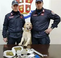 Cane "Ivan" scova la droga sotto il Castello Normanno di Patern&ograve;