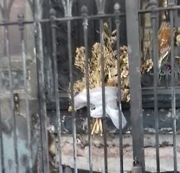 Catania, dopo la festa di Sant'Agata c'&egrave; un altarino ancora da pulire