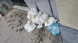 Catania, rifiuti in via Scadurra: il recente scandalo non &egrave; servito a niente