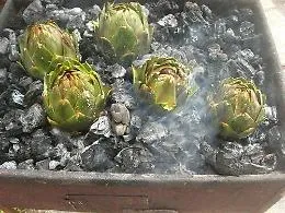 &Egrave; primavera, siete tutti cacoccioli