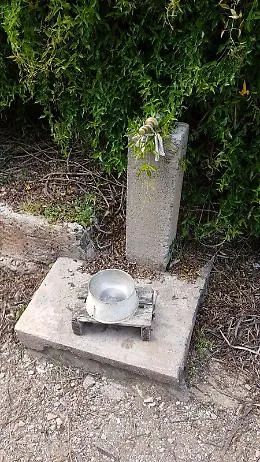 Acqua assente nell'area cani di Villa Trabia a Palermo