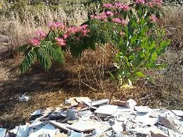 Foce del fiume Alcantara: bellezza e incivilt&agrave;.
