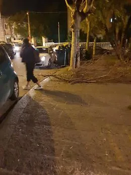 Catania, Piazza Santa Maria del Ges&ugrave;: rami secchi intralciano i pedoni