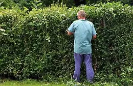 A Palermo i detenuti diventano giardinieri