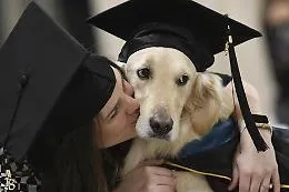Laurea ad honorem a Griffin per un'"impresa" straordinaria