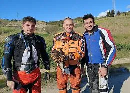 Ribera, salvata poiana da sicura morte