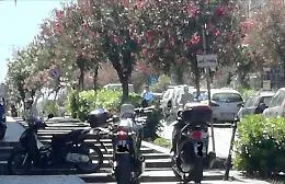 Catania, parcheggi in Via di Sangiuliano: "Che incivilt&agrave; e che arroganza!"