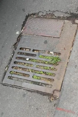 Catania: mancata pulizia delle caditoie in Via del Bosco