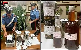 Catania, beccato con mezzo chilo di marijuana: &laquo;Sono uno chef, sperimento ricette alla cannabis&raquo;