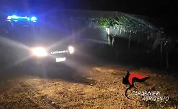 Intensificati i controlli contro i furti d&rsquo;uva intorno a Castrofilippo e Canicatt&igrave;