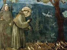 La giornata mondiale degli animali
nel giorno di San Francesco d'Assisi