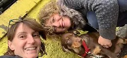 Due turiste trovano cagnolina, l'affidano all'associazione Aronna, ma dopo due mesi l'adottano