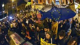 Palermo, un banco di 6000 sardine siciliane